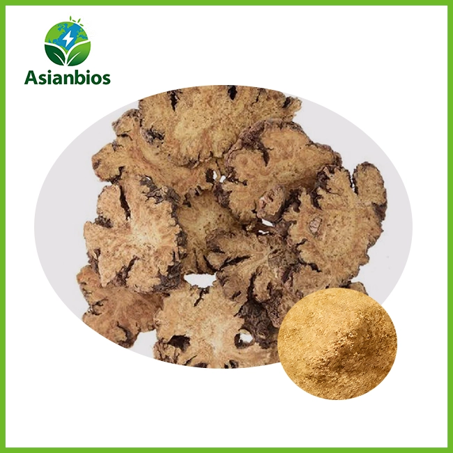 Rhizoma Chuanxiong Extract